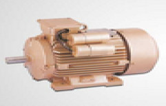 Cast Iron Induction Motor by Hindustan Pumps And Electrical Engineers