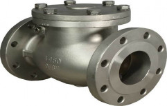 Cast Iron Non Return Valves by Parth Valves And Hoses LLP