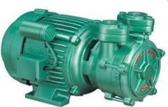 Domestic Pump Motor by Pavan Suppliers