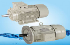 Induction Electric Motor by Lubi Industries Llp