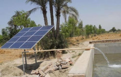 Irrigation Solar Water Pump by IGO Solar