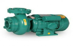 Monoblock Pump by LB Electro Products