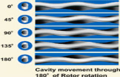 Progressive Cavity Pumps by Roto Pumps Limited
