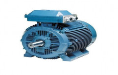 Rolling Mill Duty Motor by Ashok Electro- Mech Industries