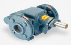 Rotatory Gear Pumps by Pump Engineering Co. Pvt. Ltd.