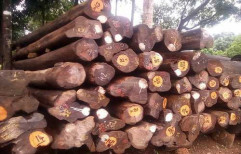 Teak wood by PMJ Wood Industries