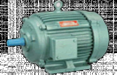 Three Phase Induction Motors by Maharastra Agency