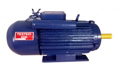 Three Phase Small Power Motor by Farmtech Industries