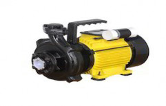 Centrifugal Monoblock Pump by Royal Industries