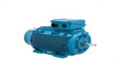 Electric Motor by Sawant Electricals And Boarwells