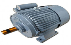 Heavy Duty Induction Motor by Ajanta Electricals (Regd.)