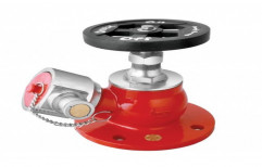 Hydrant Valve by Shree Ambica Sales & Service