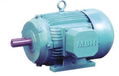 Induction Motor by Projects Utility Services