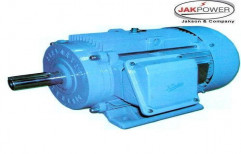 Mill Duty Induction Motors by Jakson & Company