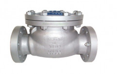 Normex Make Check Valve (Ball Type) by Shree Ambica Sales & Service