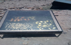 Solar Fruit Dryer by Rudra Solar Energy