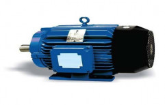 SPDP Electric Motor by Baviskar Sales Corporation