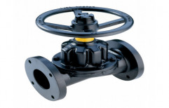 Straight Diaphragm Valves by Parth Valves And Hoses LLP