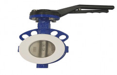 Teflon Lined Butterfly Valves by Energy Economics