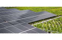 Agriculture Solar Panel by Instant Power Engineering