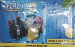Btali Pump by Water Tek Solution