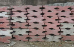 Cemented Grass Paver by M/S Amit Hatwal Sanitary & Building Material Trading Co.