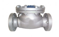 Check Valve by Flowtech Fluid Systems Private Limited