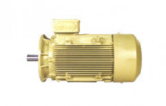 Crane And Hoist Duty Squirrel Cage Induction Motor by Asiatic Engineering And Trading Company