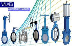 Dome Valve by Sunaina Engineering Industries