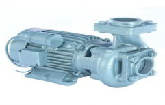 Domestic Monoblock Pump by KH Enterprises