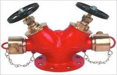 Fire Hydrant Valve by Dahshamak Fire Private Limited