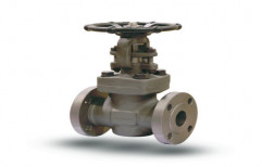 Forged Gate Valves by Parth Valves And Hoses LLP