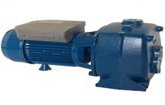 Horizontal Jet Pump by Tech Pumps