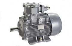 Lhp Flame Proof Motors by Cnp Pumps India Private Limited