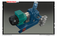 Reciprocating Pumps by Mini Max Dosing Pumps