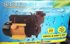 Self Priming Automatic Pump Spap Btali by Water Tek Solution