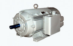 Standard Efficient Motors by Sungrace Electro Systems