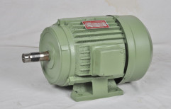 Three Phase AC Induction Motor by Shital Electricals