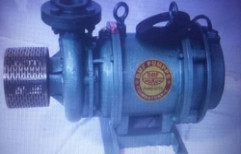 Three Phase Water Motor Pump by Asian Motors