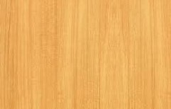 Wood Laminate Plywood by Ambika Plywood & Hardware