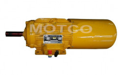 Wound Rotor Induction Motors by Micromot Controls