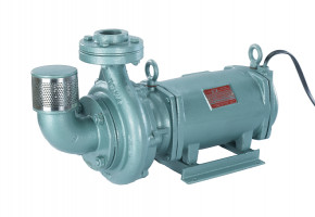 Horizontal Open Well Pumps by Ajanta Submersible Pump