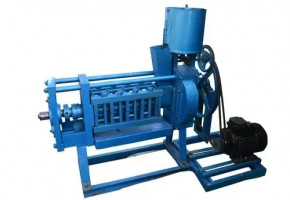 6 Bolt Oil Expeller Machine 61x61 C.m 20 Plates, Capacity: 5-20 ton/day