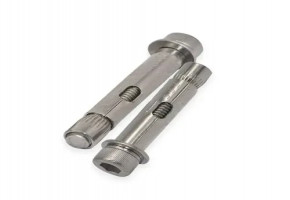 Stainless Steel Ss Anchor Fasteners, Size: more than 8.0 inch