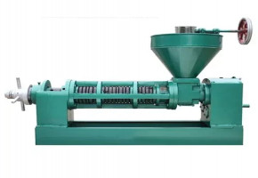 SCREW TYPE Cold Press Mustard Oil Expeller, Capacity: 70 To 80