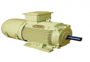 Thresher Electric Motor by Gellco Pumps