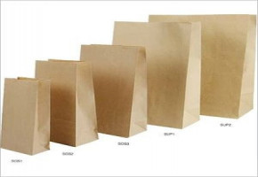 G.V.T. Enterprises Grocery Kraft Paper Bag, Capacity: 250 to 500 g