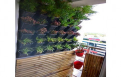 Vertical Garden