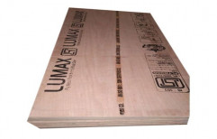 Brown Lumax Plywood Board, Size: 8' x 4', Rustic