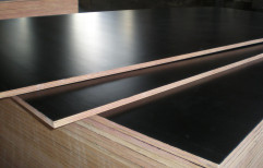 Delwin Film Faced Densified Shuttering Plywood